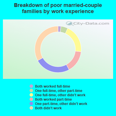 Breakdown of poor married-couple families by work experience